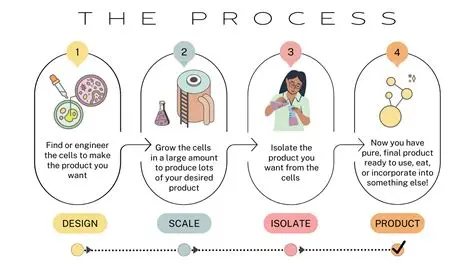 Precision Fermentation Process