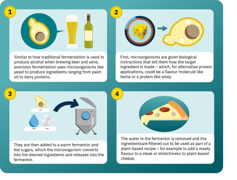 Precision Fermentation