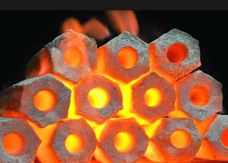Biofuel Briquettes
