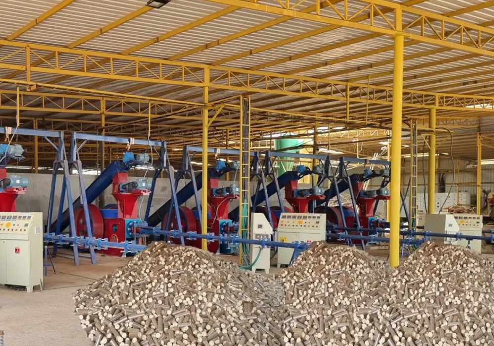 Biofuel Briquettes Plant