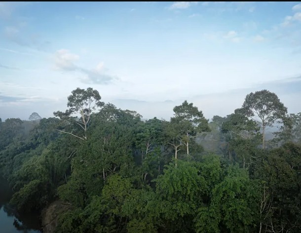 Neste Biodiversity Impacts