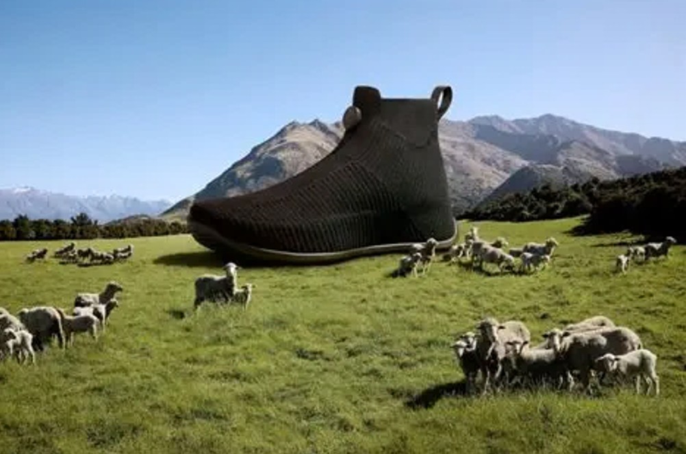 Allbirds Moonshot net‑zero carbon shoe displayed on grass with mountains and sheep in the background.