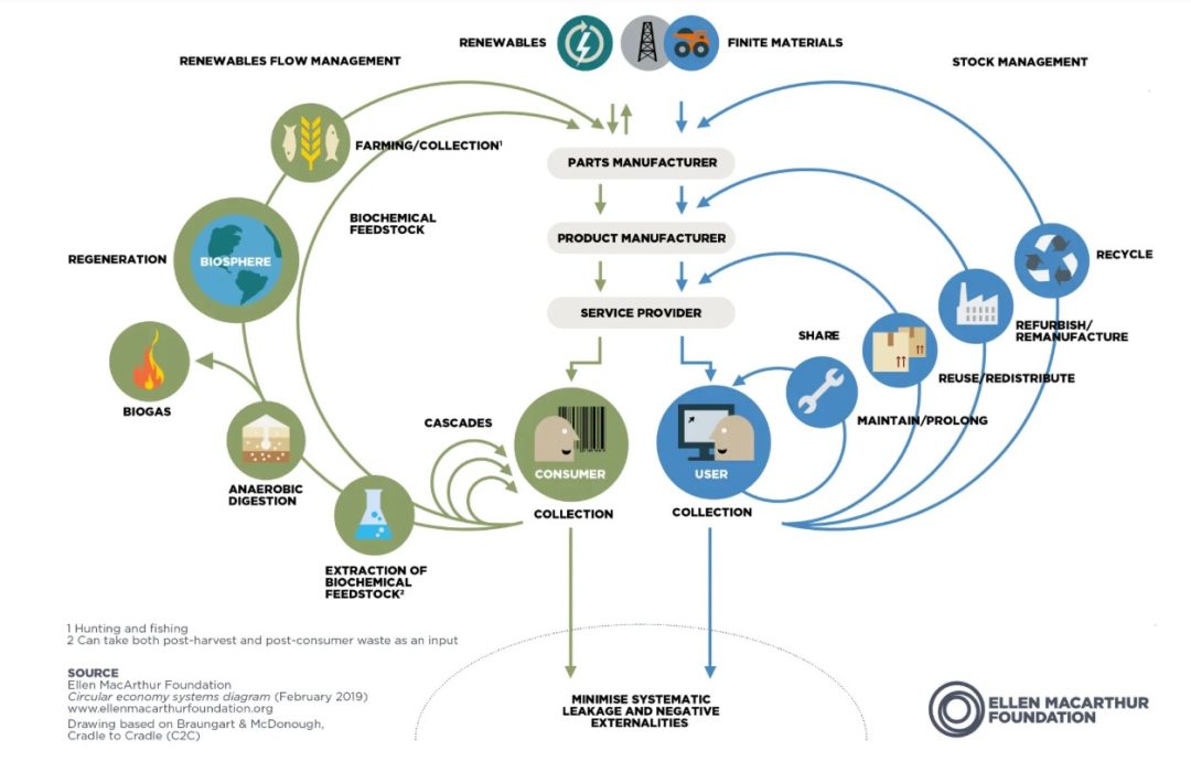 The Ellen MacArthur Foundation Butterfly Diagram illustrating the circular economy. The diagram shows biological and technical material cycles flowing in continuous loops, demonstrating how products, materials and natural systems can be designed to regenerate value rather than create waste.
